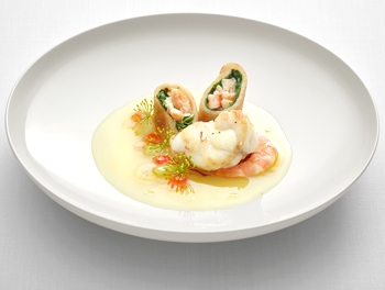 Tafelstern New delight