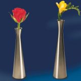 Vaze aspect inox