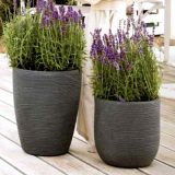 SHABBY, vase decorative pentru flori, forme inspirate din geometria elementara reinterpretate, culori diverse