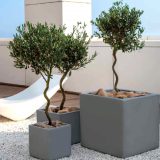VIAREGGIO, vase pentru flori, cubice, diverse culori