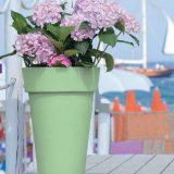 Vase pentru flori, cu bordura, aspect zvelt, finisaj cu aspect natural, culori diverse
