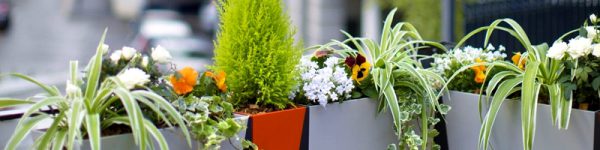terasa decoratiuni luminoase si ghivece