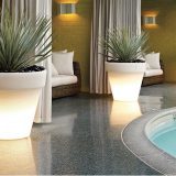 decoruri functionale pentru plante naturale amplasate la interior sau exterior