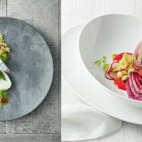 Temptaste, portelan pentru restaurant in linii de o simplitate exceptionala, doua finisaje, clasic portelan si modern, colorat intens, cu un efect garantat in orice restaurant