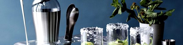 accesorii pentru servire bar